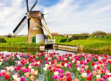 why to invest in Land